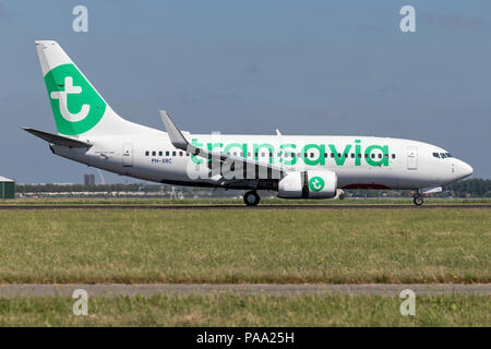 Niederländische Transavia Boeing737-700 mit Registrierung PH-XRC Just Landed auf Landebahn 18R (Polderbaan) der Flughafen Amsterdam Schiphol. Stockfoto