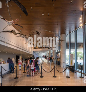 Israel, Ramat Aviv - vom 20. Juli 2018: Steinhardt, Museum der Naturgeschichte, Universität Tel Aviv, Stockfoto