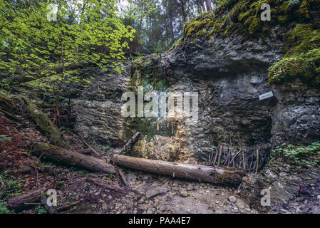 Machovy Wasserfall an der Klastorska Roklina - Kloster Gorge Wanderweg im Slowakischen Paradies, Slowakische Erzgebirge in der Slowakei bezeichnet Stockfoto