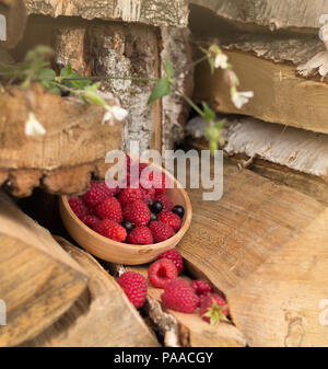 Himbeeren in einer kleinen Ton Schüssel liegen unter den Logs. Serie von Bildern Stockfoto