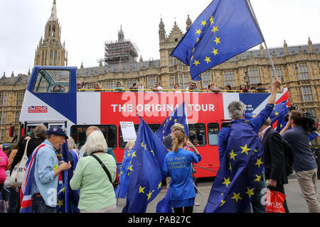 Pro-EU-Befürworter zeigt außerhalb des Parlaments als MPs Debatte Brexit Herren Änderungen von der Rücknahme Rechnung. Die Regierung verlor die Abstimmung in der Herren über eine Änderung MPs eine "sinnvolle Abstimmung "auch wenn die Regierung eine Brexit Angebot zu erreichen. Mit: Atmosphäre, Wo: London, Großbritannien Wann: 20 Jun 2018 Credit: Dinendra Haria/WANN Stockfoto