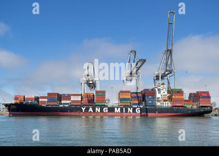 Containerschiff YM EVOLUTION an ECT Delta Terminal Rotterdam. Yang Ming Marine Transport ist ein Ocean Shipping Company in Keelung, Taiwan. Stockfoto