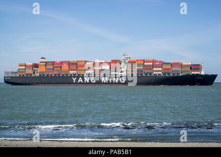 Containerschiff YM BOHRLOCHKOPF inbound Rotterdam. Yang Ming Marine Transport Corporation ist ein Ozean Reederei in Keelung, Taiwan. Stockfoto
