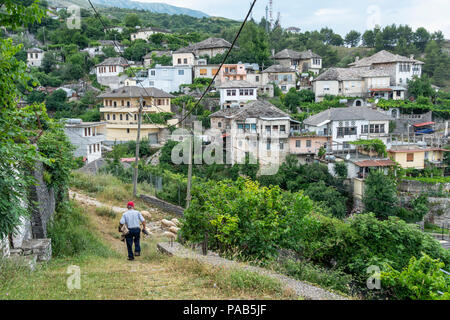 Ein Hirte weidet seine Schafe in einer Gasse in Gjirokastra vor dem Hintergrund der alten Osmanischen Zeit Häuser, südlichen Albanien Stockfoto