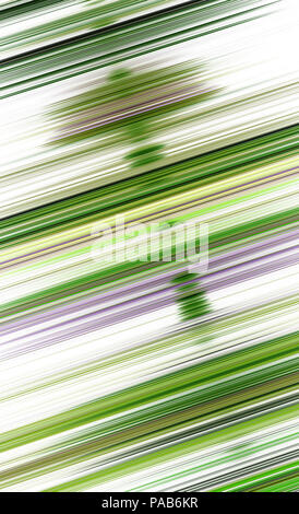 Ein Beispiel für eine schöne abstrakte Linien Stockfoto
