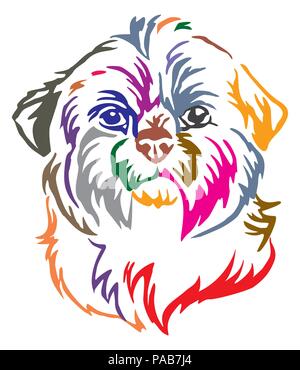 Bunt dekorativ Portrait von Hund Shih Tzu, Vector Illustration in verschiedenen Farben auf weißem Hintergrund Stock Vektor