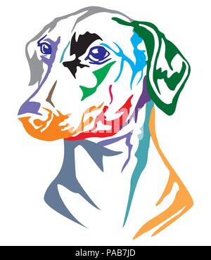 Bunt dekorativ Portrait von dog Deutsche Pinscher, Vector Illustration in verschiedenen Farben auf weißem Hintergrund Stock Vektor