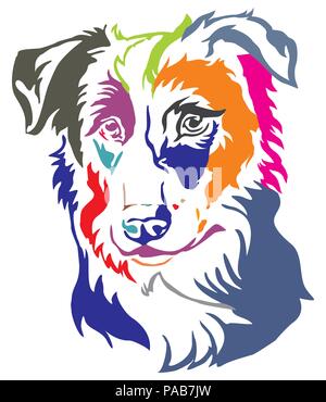 Bunt dekorativ Portrait von Hund Border Collie, Vector Illustration in verschiedenen Farben auf weißem Hintergrund Stock Vektor