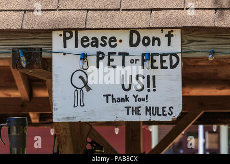 Easton, PA, USA - 8. Juli 2018: eine Bitte keine Pet-ernähren uns Zeichen auf einem Maultier stabil bei den Nationalen Canal Museum tun. Stockfoto