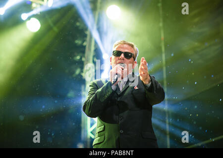 Turin, Italien. 20. Juli 2018. Der Wahnsinn Band live in Turin. Credit: Daniele Baldi/Pacific Press/Alamy leben Nachrichten Stockfoto