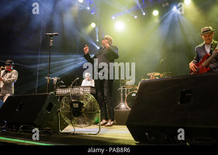 Turin, Italien. 20. Juli 2018. Der Wahnsinn Band live in Turin. Credit: Daniele Baldi/Pacific Press/Alamy leben Nachrichten Stockfoto