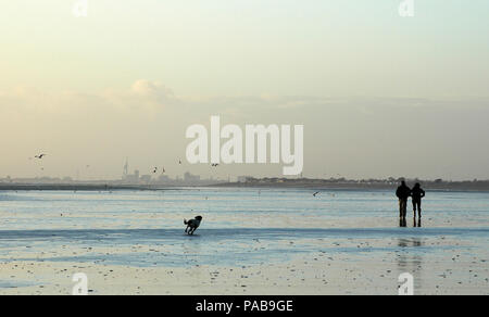 Ehepaar mit Hund, Wandern an der East Wittering Strand. Ebbe. Januar. Southsea in der Ferne Stockfoto