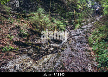 Sucha Bela touristische Weg in kleinen Canyon im Slowakischen Paradies Nationalpark, nördlichen Teil der Slowakischen Erzgebirge in der Slowakei Stockfoto