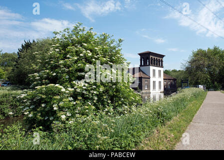 Coppermill Turm mit Holunderblüten Werk im Vordergrund, Walthamstow Feuchtgebiete London Borough von Waltham Forest England Großbritannien UK Stockfoto