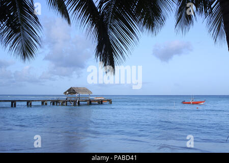 Reisen Tobago. Foto: Sean Drakes/Alamy Stockfoto