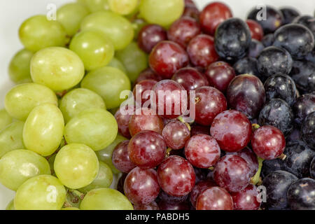 Schwarz, Rot, Grün kernlose Trauben in einer tiefen weiße Schüssel auf einem weißen Geschichte warten auf Frühstück gegessen zu werden. Stockfoto