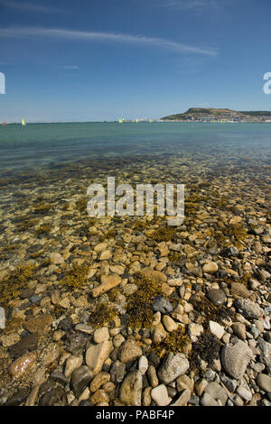 Steine und Algen am Rand von Portland Harbour in der Nähe des Damm, auf der Isle of Portland, im Hintergrund sichtbar, während im Vereinigten Königreich 2018 führt Stockfoto