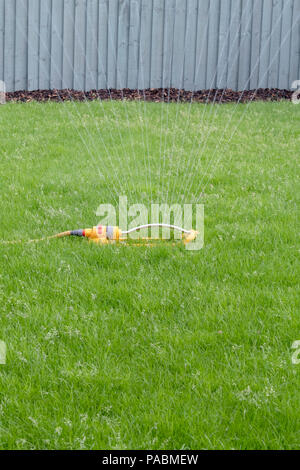 Sprinkler mit einem gelben Schlauch verwendet wird, einen Rasen zu Wasser. Stockfoto