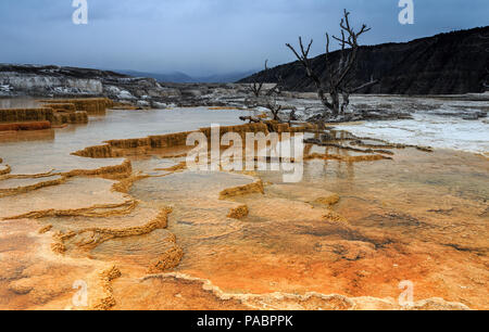 Mammut Terrassen in Yellowstone Stockfoto