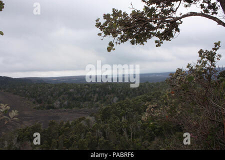 Entlang der Oberseite des Kilauea Iki Krater, auf dem Kilauea Iki Trail mit Halema'Uma'u Krater im Hintergrund, in Hawaii, USA Stockfoto