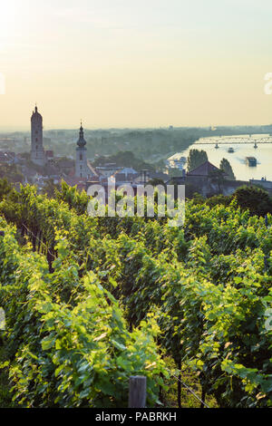 Krems an der Donau: Blick zum Bezirk Stein und Zentrum von Krems, Weinberg, Donau (Donau), Kirche Frauenbergkirche (links), Kirche St. Nikolaus (S Stockfoto