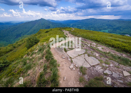 Pfad in der Nähe von Winnie the Pooh Hütte Unterschlupf auf einem Hasiakowa Rock Mountain, Teil der Wetlina Wiesen im westlichen Bieszczady-gebirge in Polen Stockfoto