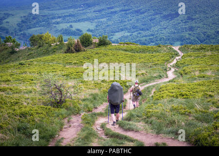 Trail von Winnie the Pooh Hütte Unterschlupf auf einem Hasiakowa Rock Mountain, Teil der Wetlina Wiesen im westlichen Bieszczady-gebirge in Polen Stockfoto