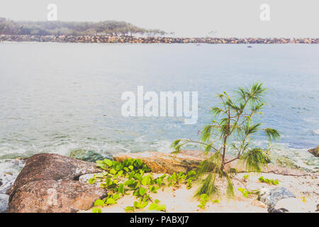 GOLD COAST, Australien - 8. Januar 2015: Blick auf Stradbroke Island von der Nehrung Strand an der Gold Coast Stockfoto