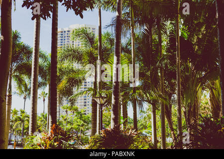 GOLD COAST, AUSTRALIEN - 10. Januar 2015: Surfers Paradise Marriott Pool Garten Stockfoto