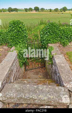 Verborgene Treppe aus dem Friedhof an Kinnell Kirche auf einem alten Pfad in das umliegende Ackerland, Angus, Schottland nicht mehr verwendet. Stockfoto