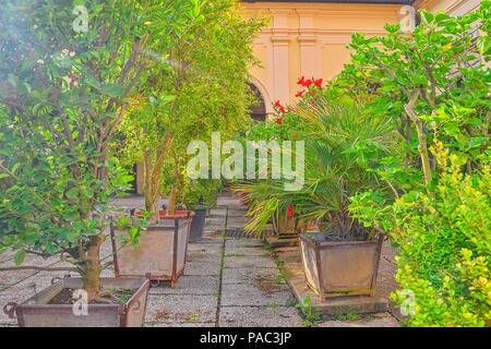 Kleiner Garten in städtischen historischen Innenhof. Garten Stil. Stockfoto