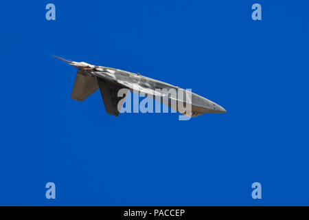 Ein US-Air Force f-22 Raptor führt eine Antenne Demonstration während der Blitz und Donner über Arizona Open House bei Davis-Monthan Air Force Base in Arizona, 12. März 2016. Die Basis öffnete seine Türen für die kostenlose Veranstaltung, militärische Luftmacht zu präsentieren und ausdrückliche Wertschätzung für die kontinuierliche Unterstützung der lokalen Gemeinschaft von D-M-Missionen. (US Air Force Foto von Senior Airman Chris Massey/freigegeben) Stockfoto
