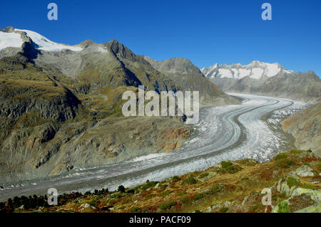 Blick auf den längsten Gletscher der Schweizer Alpen - die Aletschglacier - die dramatisch aufgrund der globalen Clima ändern schmilzt. Sein Gewicht ist Stockfoto