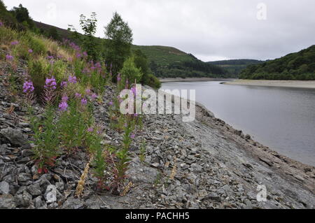 Garreg ddu Reservoir, Elan Valley, Mid Wales UK Stockfoto