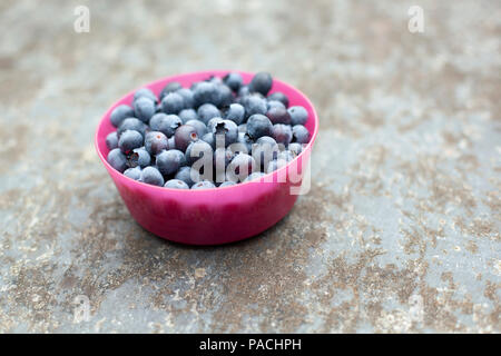 Blaubeeren in einem rosa Plastik Schüssel auf einem Schiefer Oberfläche Stockfoto