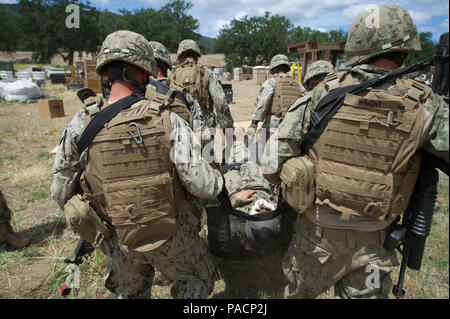 FORT HUNTER LIGGETT, Calif. (14. Mai 2017) Seabees zu Naval Mobile Konstruktion Bataillon (NMCB) 4 zugewiesenen Aufgaben ein sechs-Mann Wurf tragen während einer Messe Unfallversicherung Bohrer für NMCB 4's Field Training Übung (Ftx). Die Ftx bereitet und Tests, die Fähigkeit des Bataillon feindliche Standorte einzugeben, zugewiesenen Bauvorhaben bauen und verteidigen gegen feindliche Angriffe mit realistischen Szenarien, während Sie von Naval Construction Group 1 ausgewertet wird. Stockfoto