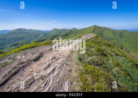 Blick von Rozsypaniec Berg im westlichen Bieszczady in Polen, in der Nähe der polnisch-ukrainischen Grenze. Halicz Peak im Hintergrund Stockfoto