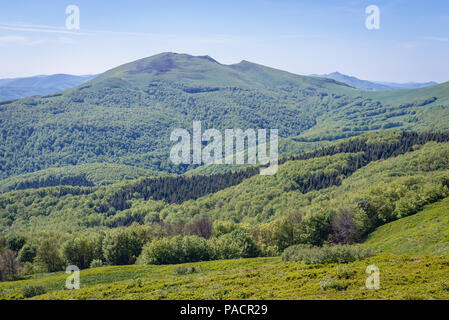 Blick von Rozsypaniec Berg in das Bieszczady-gebirge im südlichen Polen Stockfoto