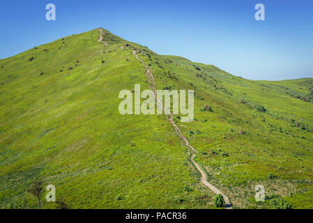 Pfad zu Halicz Peak im Bieszczady-gebirge im südlichen Polen Stockfoto