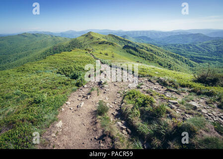 Luftaufnahme von Halicz Peak im Bieszczady-gebirge im südlichen Polen. Ukrainische Berge auf Hintergründen Stockfoto