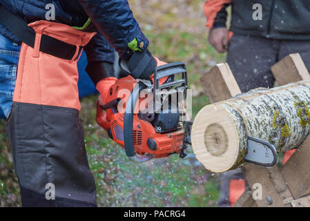 Gefährliche Arbeiten: professionelle Holzfäller in Schutz Overalls sägt eine aus Holz anmelden, liegend auf einem Stand, mit einer Kettensäge, close-up Stockfoto