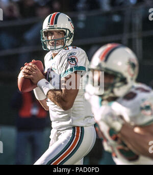 Oakland, Kalifornien, USA. 27 Nov, 2005. Miami Dolphins quarterback Gus Frerotte (11) am Sonntag, den 27. November 2005 in Oakland, Kalifornien. Die Delphine besiegt die Räuber 33-21. Credit: Al Golub/ZUMA Draht/Alamy leben Nachrichten Stockfoto