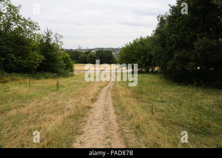 Alexandra Palace. North London. UK vom 22. Juni 2018 - trockenes Gras auf der Alexandra Palace Park, nördlich von London, durch eine längere Hitzewelle und trockene Periode über den Süden von England verursacht. Nach dem Met Office Juli ist wahrscheinlich der heisseste Monat seit Aufzeichnung begann. Credit: Dinendra Haria/Alamy leben Nachrichten Stockfoto