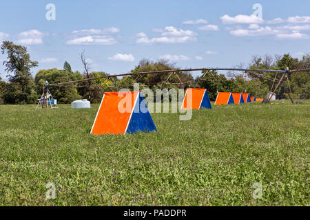 Schutzhülle mit künstlichen Nesthöhlen auf Nistbrettern, Alfalfa, Blattschneider-Bienen 'Megachile rotundata Fab.'. Bewässerung des mittleren Drehzapfens. Stockfoto