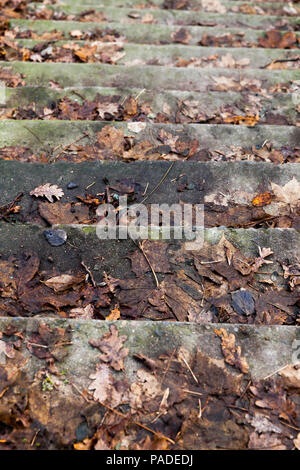 Fotografiert in der Nähe von Alte Steintreppe in den Herbst, auf der Oberfläche liegt Blätter, kleine Schärfentiefe gefallen Stockfoto