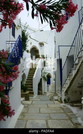 Insel Tinos, Kykladen, Griechenland, schmale Straße, Oleander Blumen, Stadt Kardiani, Stockfoto