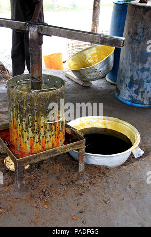 Palmöl squeezer/Kocher Setup zu einem palmöl Werk in der Nähe von Cape Coast, Ghana Stockfoto