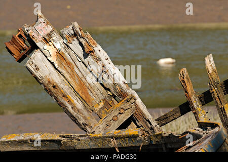 Die Skelettreste eines alten Boot, jetzt ein Schiffswrack langsam verfallenden. Stockfoto