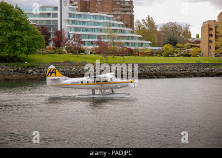 Turbo Otter Wasserflugzeug von Harbour Air betrieben das Rollen im Hafen Harbour Air Stockfoto