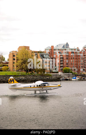 Turbo Otter Wasserflugzeug von Harbour Air betrieben das Rollen auf der Dichtung auf dem Flugzeug nach der Landung in Victoria, Vancouver Island Stockfoto